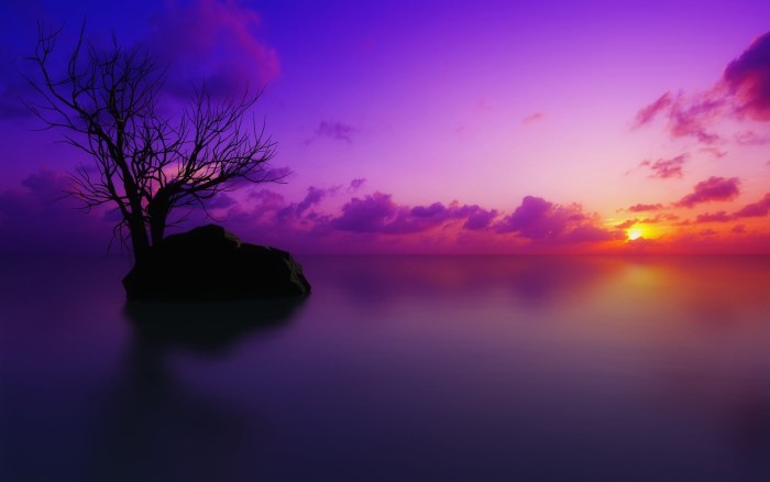 Purple Twilight and a Lone Island Tree Wallpaper — Surreal wallpaper