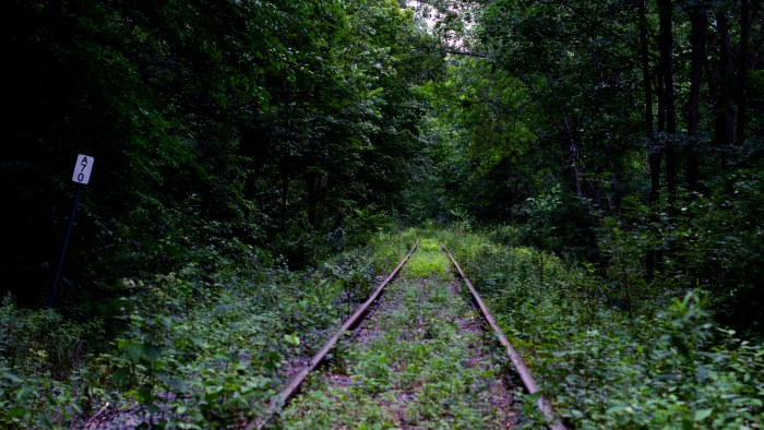 Overgrown Railway Through a Green Forest — Trains wallpaper