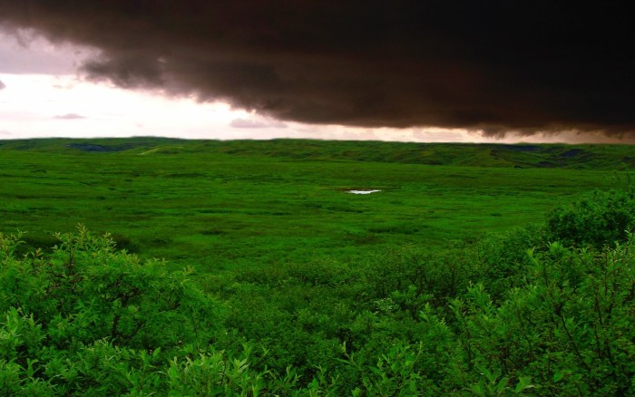 Storm Clouds Above Green Hills Wallpaper — Nature wallpaper