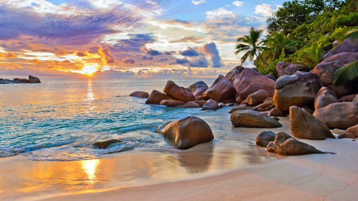 Beach in Warm Golden Light — Sunsets & Sunrises wallpaper