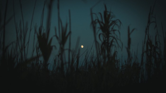 Moon in Dark Natural Light — Night Sky wallpaper