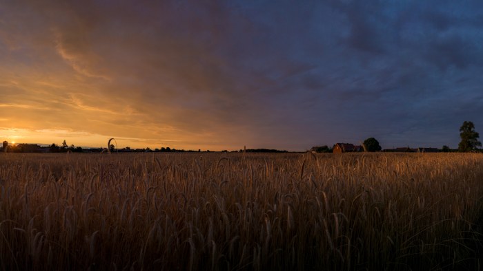 Moody Sky Desktop Background — Sunsets & Sunrises wallpaper