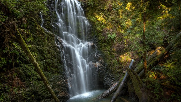 Woodland Waterfall in Autumn 4K Wallpaper — Nature wallpaper