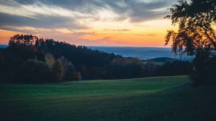 Sunset Meadow with Trees — Nature wallpaper