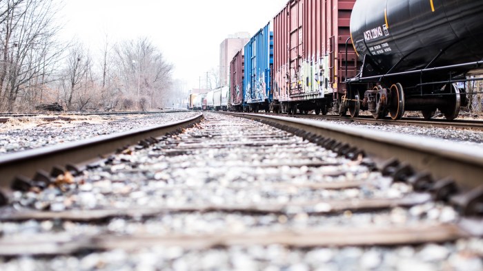 Trees in Soft Natural Light — Trains wallpaper