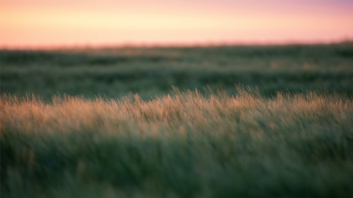Landscape in Warm Natural Light — Sunsets & Sunrises wallpaper