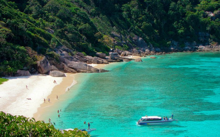 Turquoise Cove and Forested Shore Wallpaper — Nature wallpaper