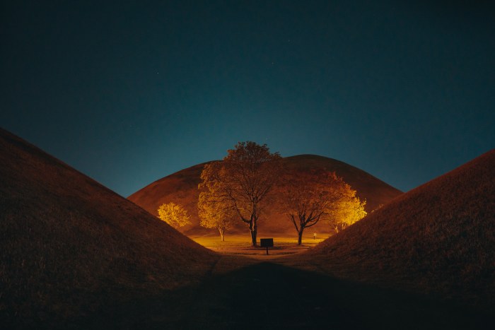 Illuminated Trees in a Dark Landscape Wallpaper — Nature wallpaper