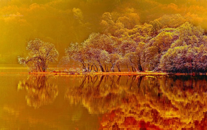 Golden Woodland Lake Reflection 4K Wallpaper — Nature wallpaper
