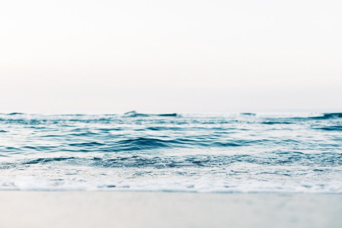 Gentle Waves on a Bright Day — Ocean & Beach wallpaper