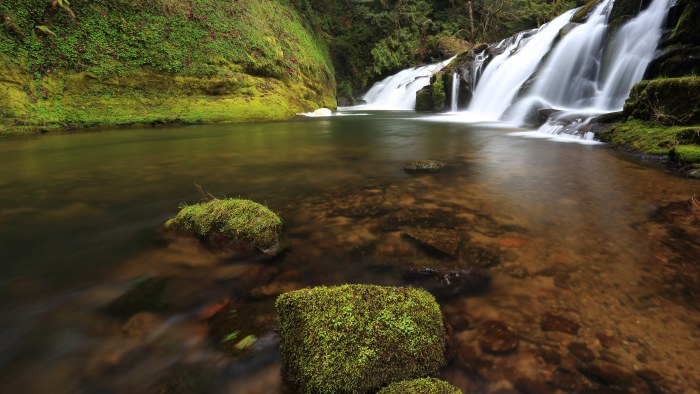 Forest River and Waterfalls 4K Wallpaper — Nature wallpaper