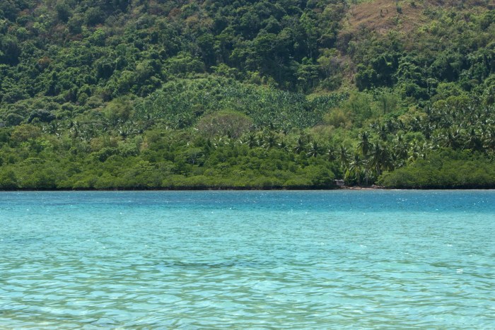 Tropical Island Coastline, El Nido — Ocean & Beach wallpaper