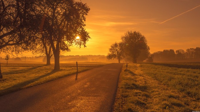 Sunset View of Landscape Sunset in Brown Tones — Sunsets & Sunrises wallpaper