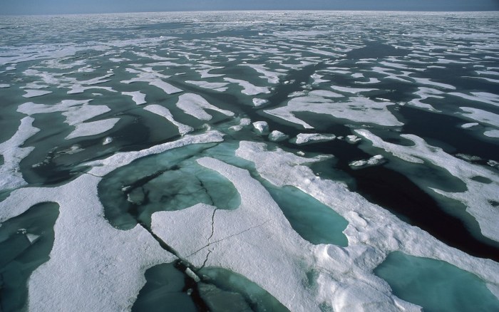 Sea Ice Patterns from Above Wallpaper — Nature wallpaper
