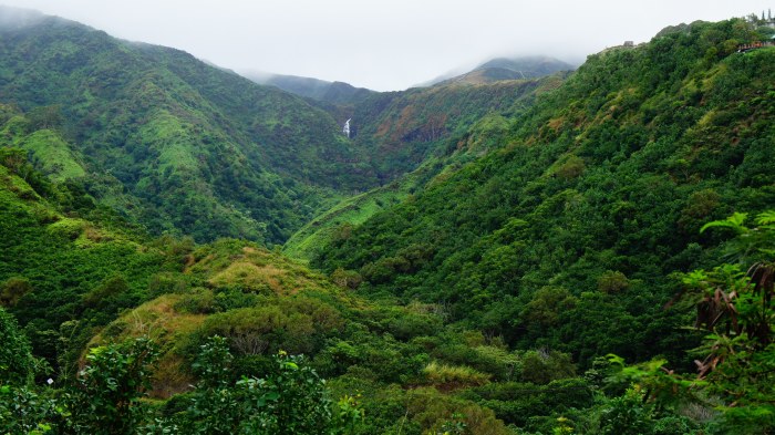 Lush Valley in Maui — Nature wallpaper