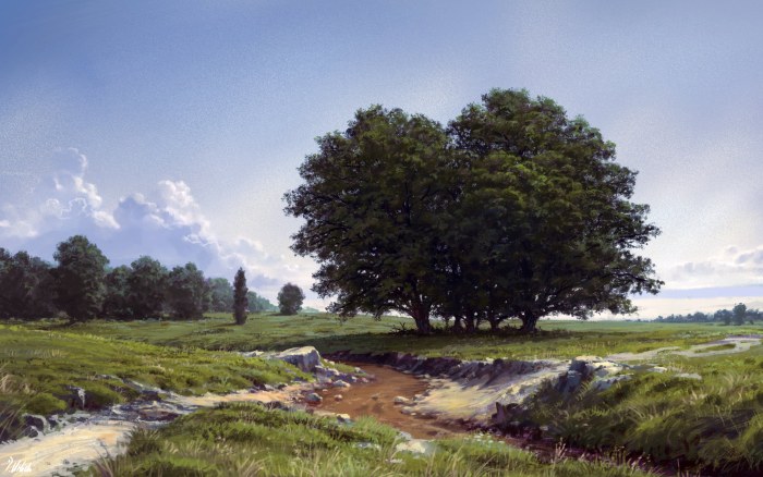 Green Meadow and Countryside Trees Wallpaper — Nature wallpaper