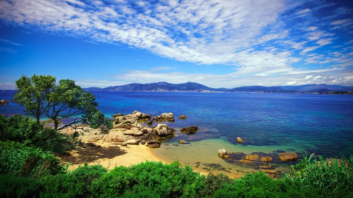 Sunlit Coastal Bay with Tree and Rocky Beach — Nature wallpaper