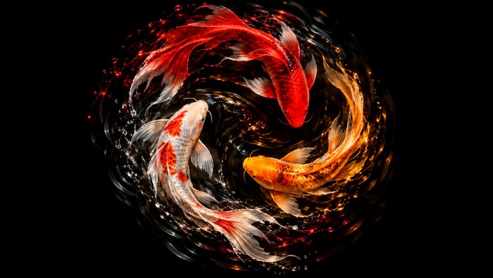 Koi Vortex 4K AMOLED Wallpaper — OLED & AMOLED wallpaper