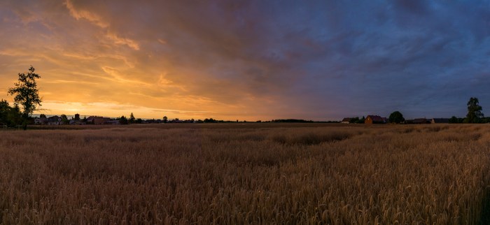 Warm-Toned Sky Desktop Background — Sunsets & Sunrises wallpaper