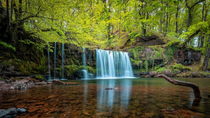 Mossy Forest Waterfall — Nature wallpaper