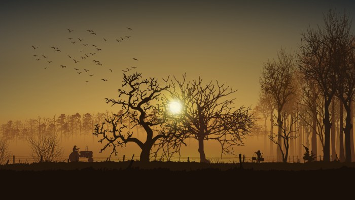Trees in Warm Natural Light — Sunsets & Sunrises wallpaper