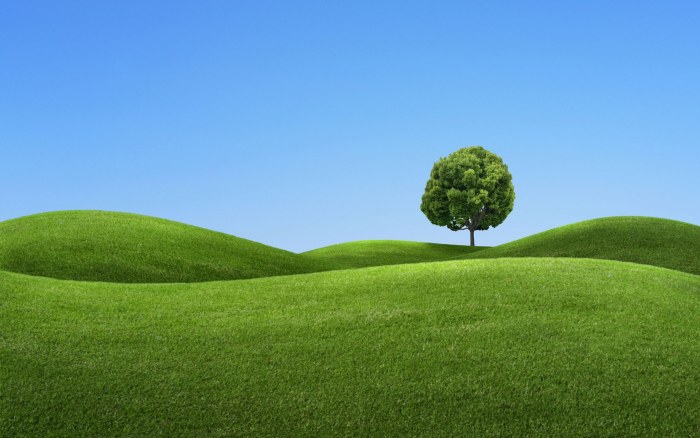 Lone Tree on Bright Green Hills Wallpaper — Minimal wallpaper