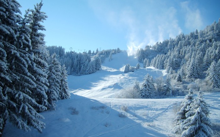 Snowy Valley and Winter Forest Wallpaper — Nature wallpaper