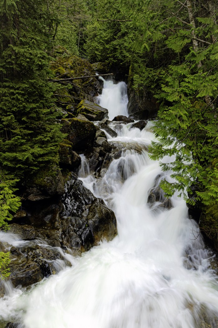 Waterfall in a Fern-Lined Gorge — Waterfalls wallpaper