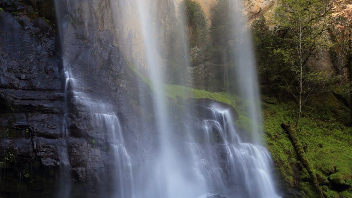 Tall Forest Waterfall Closeup 4K Wallpaper — Nature wallpaper