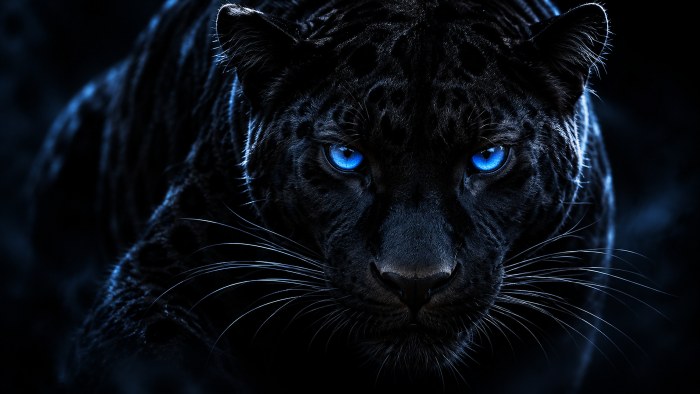 Moonlit Black Panther 4K Wallpaper — Animals wallpaper