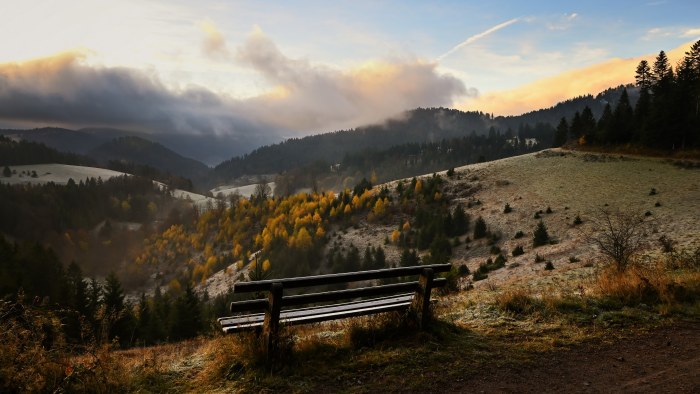 Natural Landscape in Warm Natural Light — Nature wallpaper