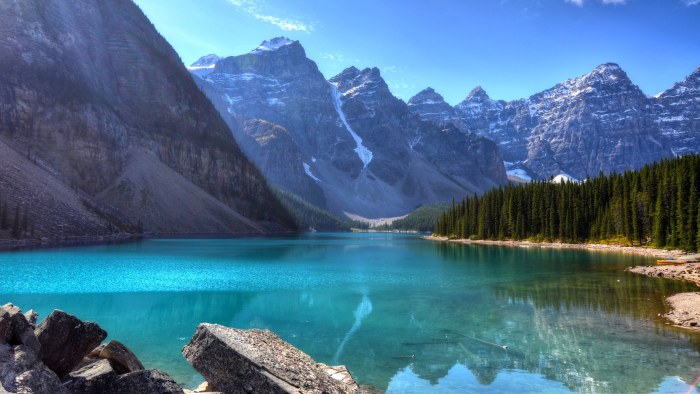 Cool-Toned Lake at Mountains. Forest — Mountains wallpaper