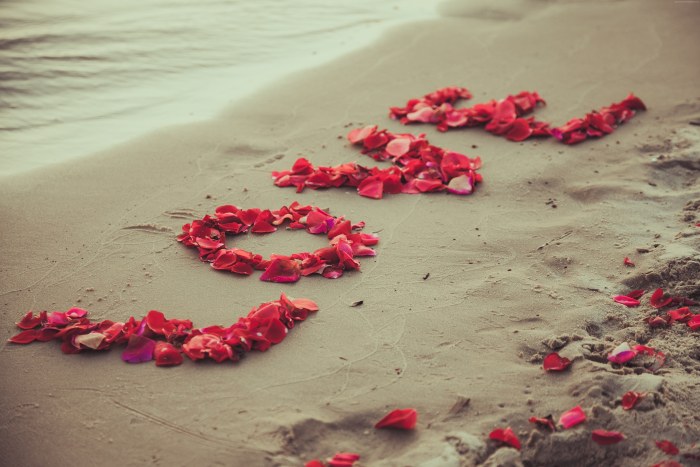 Rose Petals on the Sand — Ocean & Beach wallpaper