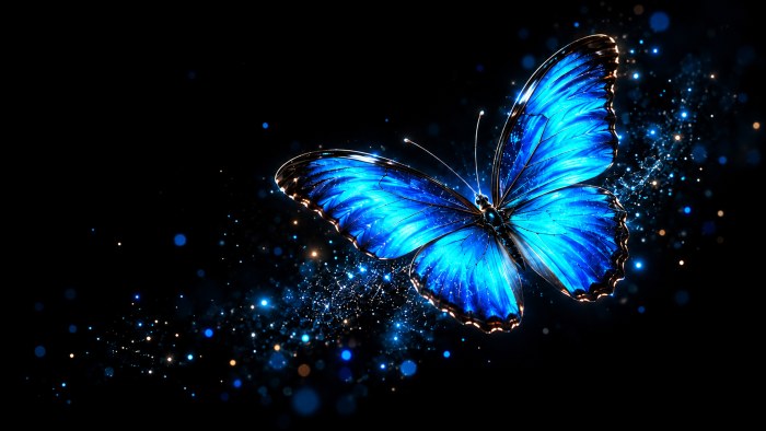 Cosmic Blue Butterfly 4K OLED Wallpaper — OLED & AMOLED wallpaper