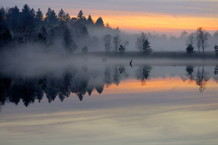 Evening Mist over a Lake — Nature wallpaper