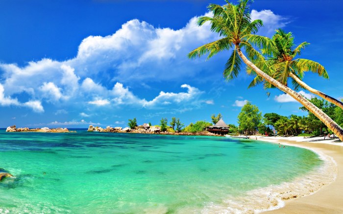 Tropical Island Bay — Ocean & Beach wallpaper