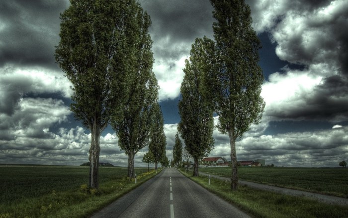 Tree Lined Road Under Storm Clouds Wallpaper — Nature wallpaper