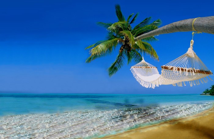 Hammock Between Palm Trees — Ocean & Beach wallpaper