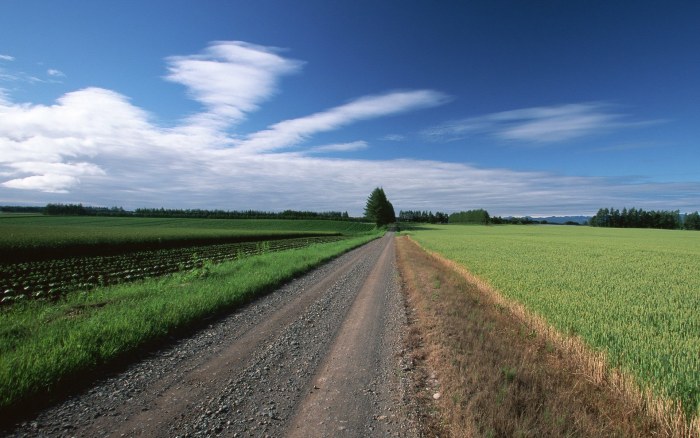Country Road Beneath Wispy Clouds Wallpaper — Nature wallpaper