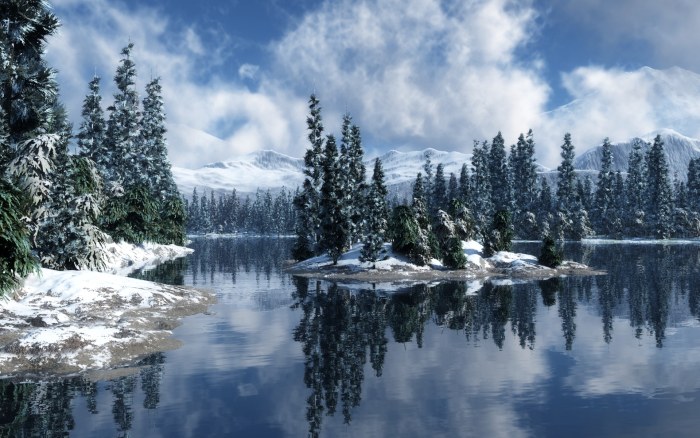 Snowy Forest Reflected in a Lake Wallpaper — Nature wallpaper