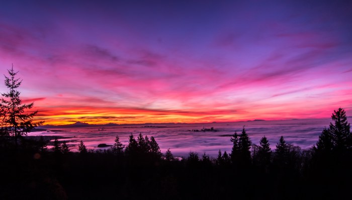 View of Nature in Vivid Natural Light — Nature wallpaper