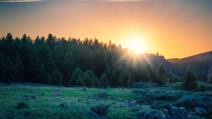 Beige Mountains at Sunrise — Sunsets & Sunrises wallpaper