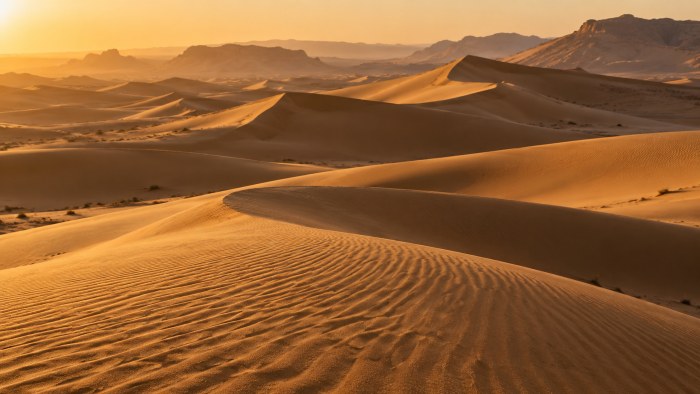 Golden Desert Dunes 4K Wallpaper — Nature wallpaper