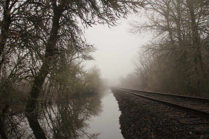 Foggy Railway Beside Still Water — Trains wallpaper