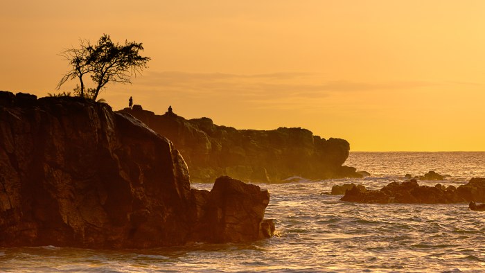 Clifftop Tree at Sunset 4K Wallpaper — Nature wallpaper