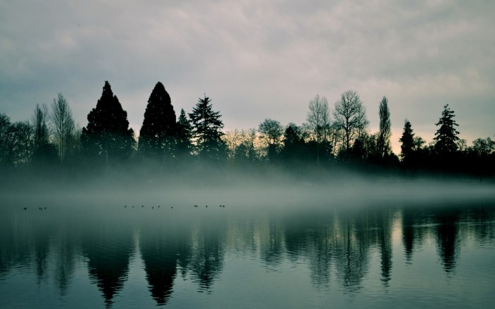 Misty Lake with Tree Silhouettes — Nature wallpaper