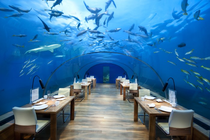 Ocean in Cool Teal Light — Underwater wallpaper