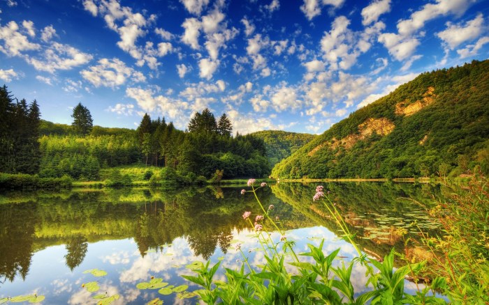 Green Riverside Reflections Wallpaper — Nature wallpaper