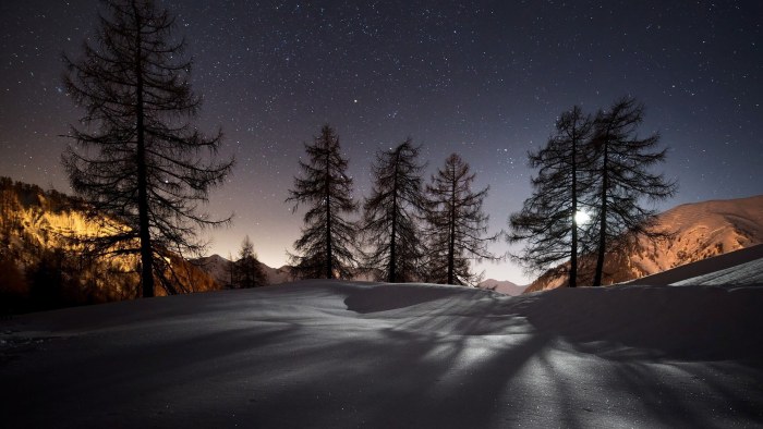 Winter Starlight — Winter wallpaper
