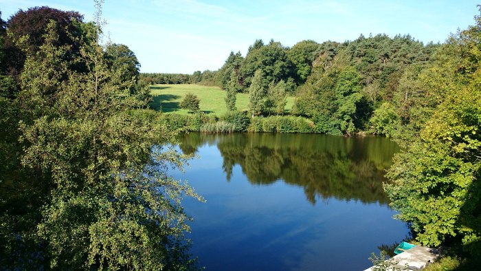 Quiet Meadow Pond — Nature wallpaper